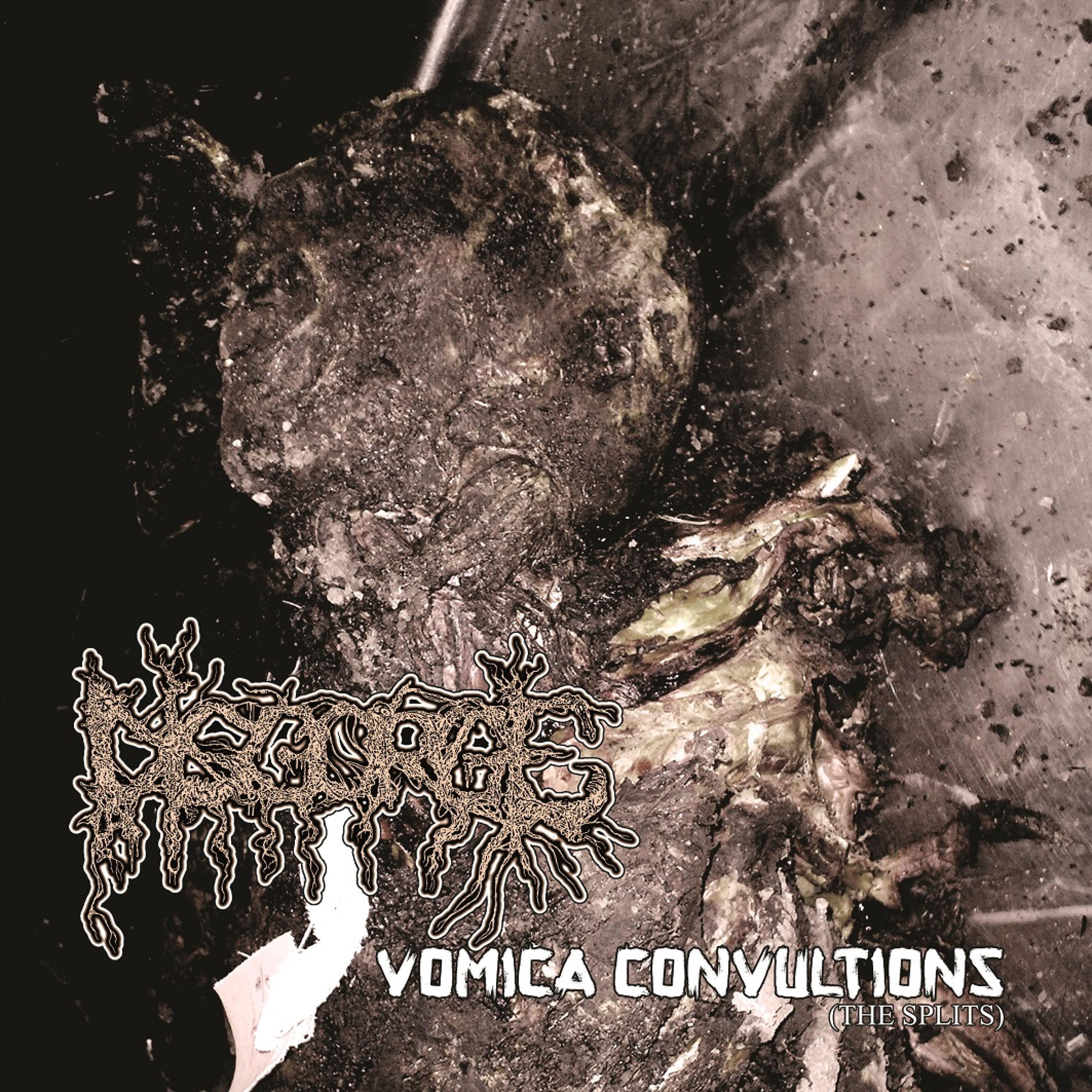 Vomica Convultions