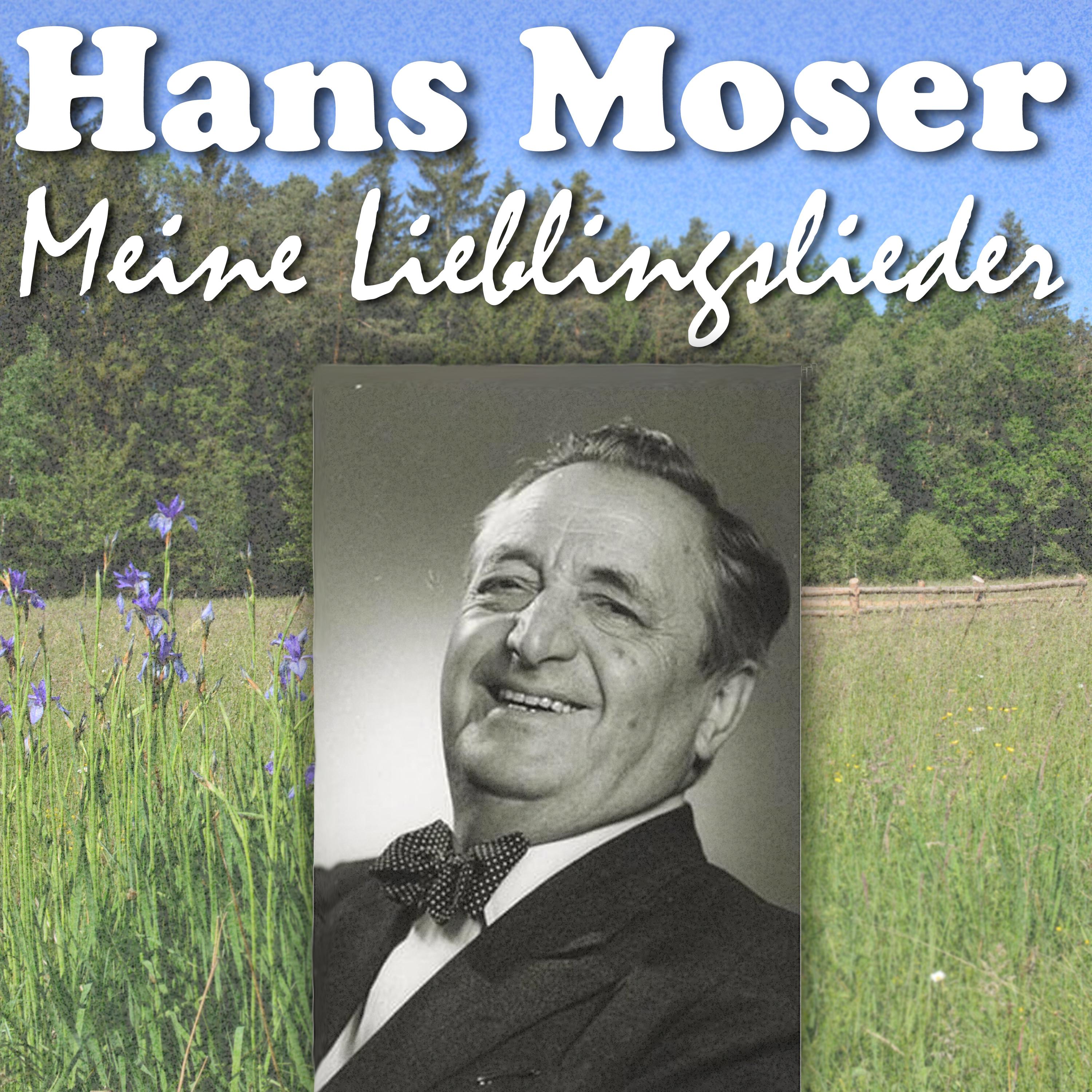 Meine Lieblingslieder