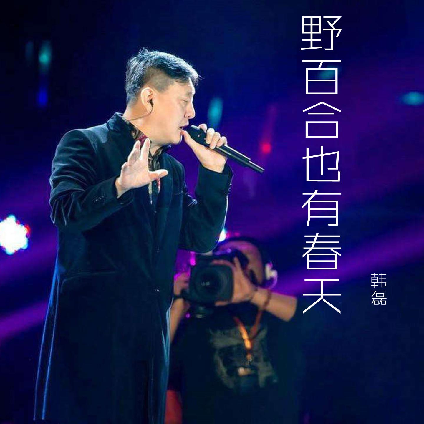 韩磊-《野百合也有春天》