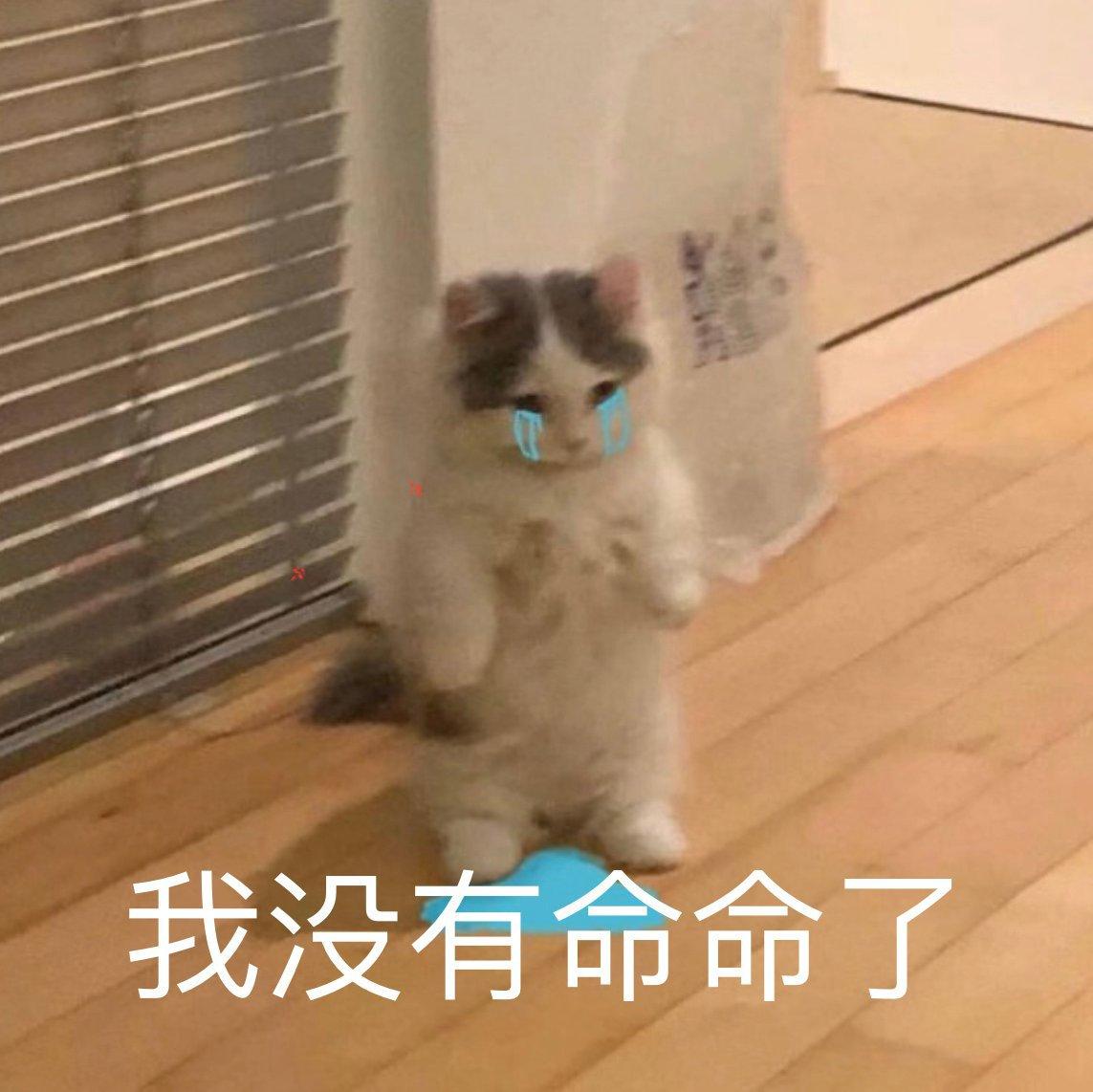 写论文赶Due专用癫歌单 | 在线播放 | 网易云音乐