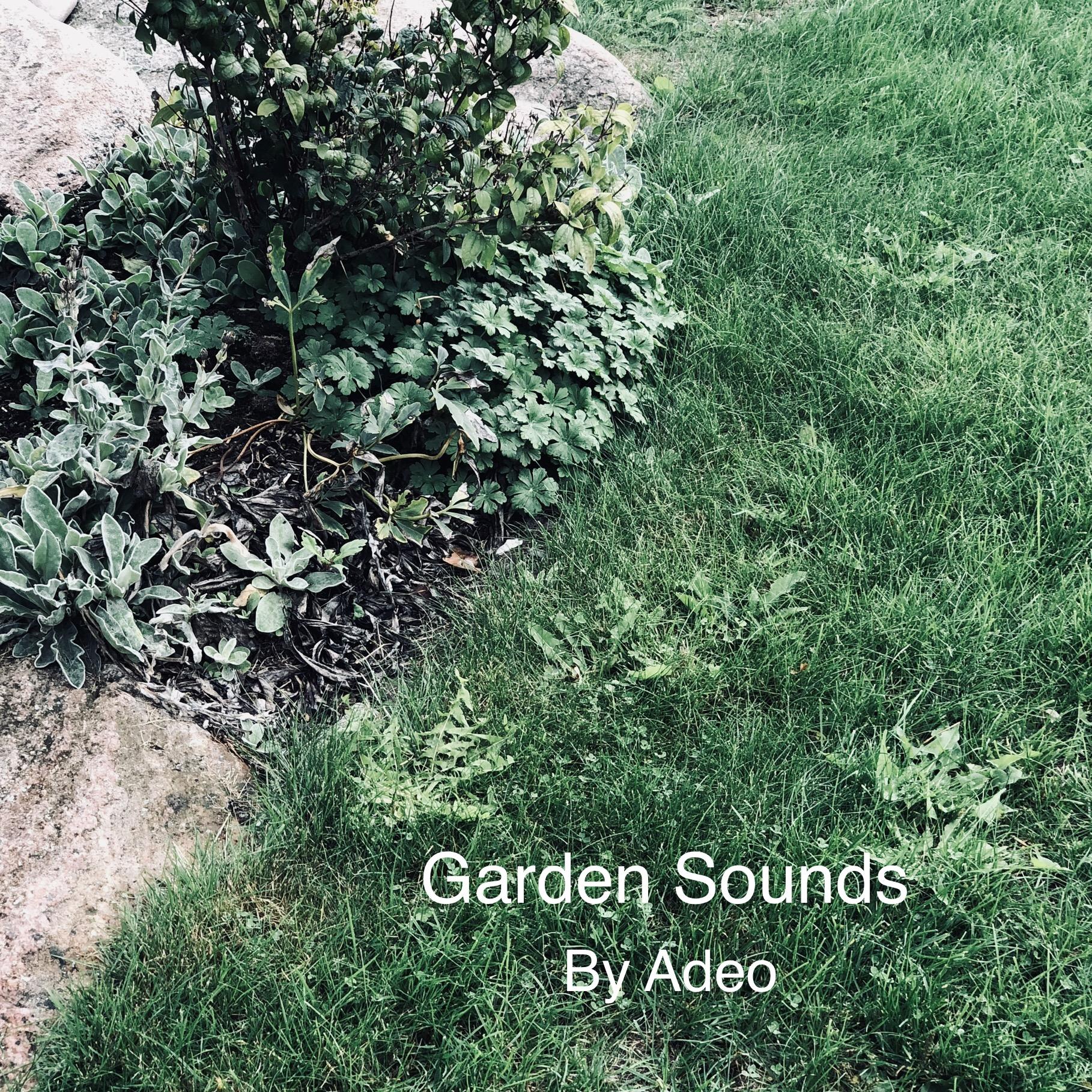 Garden Sounds