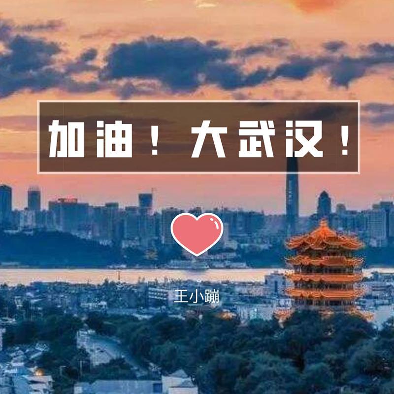 加油！大武汉！