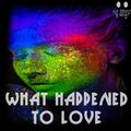 What Happened To Love (6ig angu5 Remix)