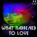 What Happened To Love (6ig angu5 Remix)专辑