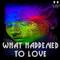 What Happened To Love (6ig angu5 Remix)专辑