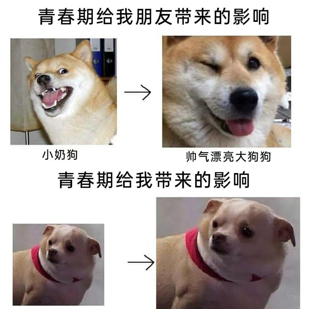 乐意效劳 - 你是来找meme的吧!!!!(含梗图) - 电台节目 - 网易云音乐