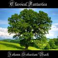 Classical Fantastica: Johann Sebastian Bach