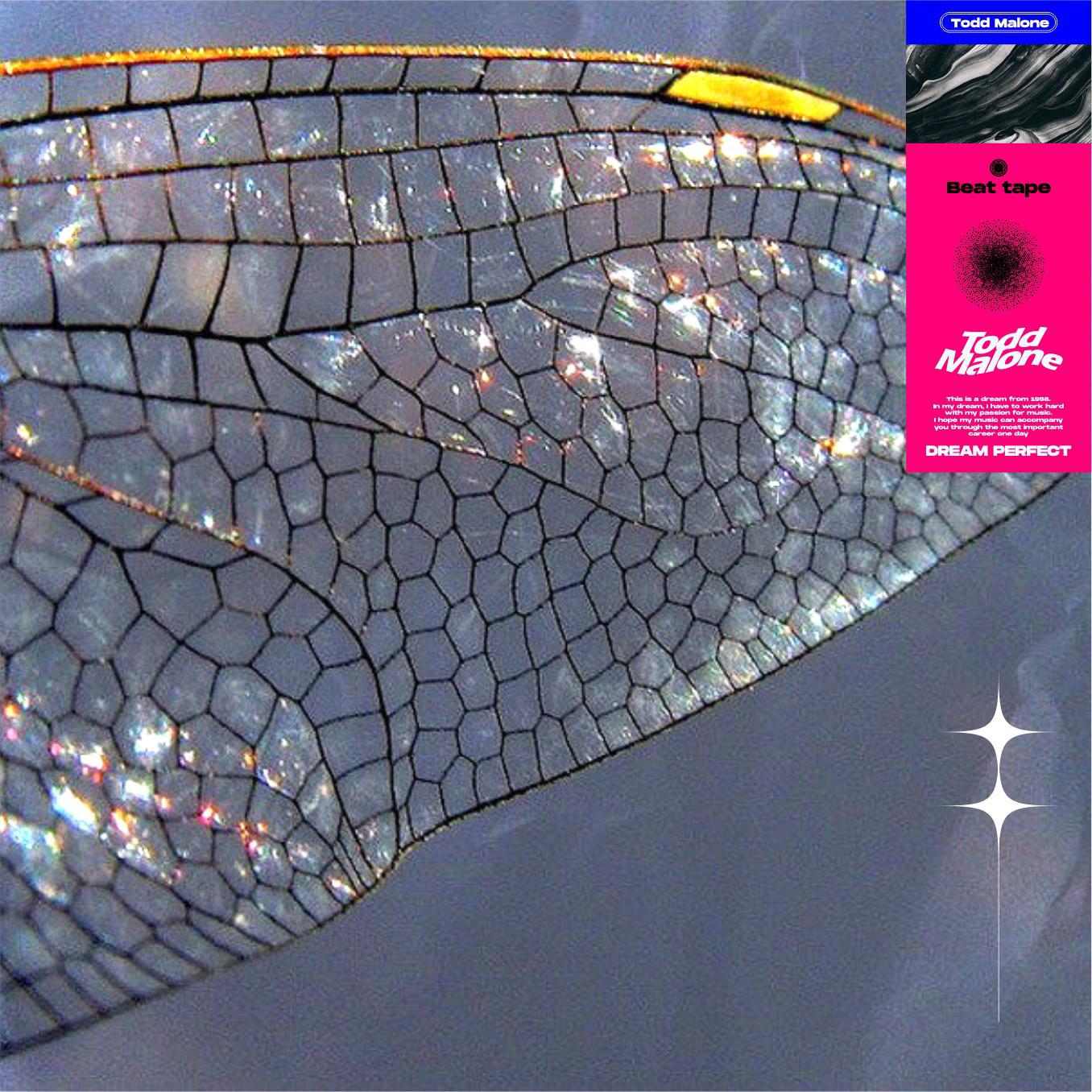 Beat Tape：Cocoon breaking