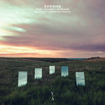 Survive (Sultan + Shepard Remix)专辑