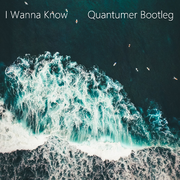 I Wanna Know (Quantumer Bootleg)