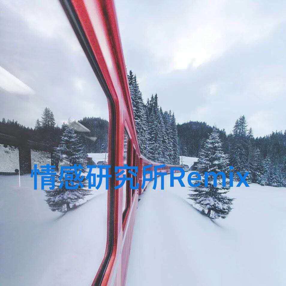 感情研究所remix专辑