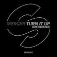 Turn It Up  (The Remixes)