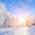 霜雪之境