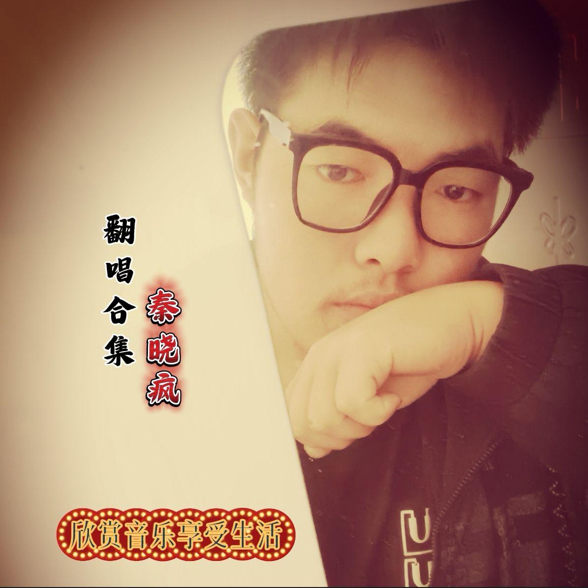 秦晓疯歌曲封面