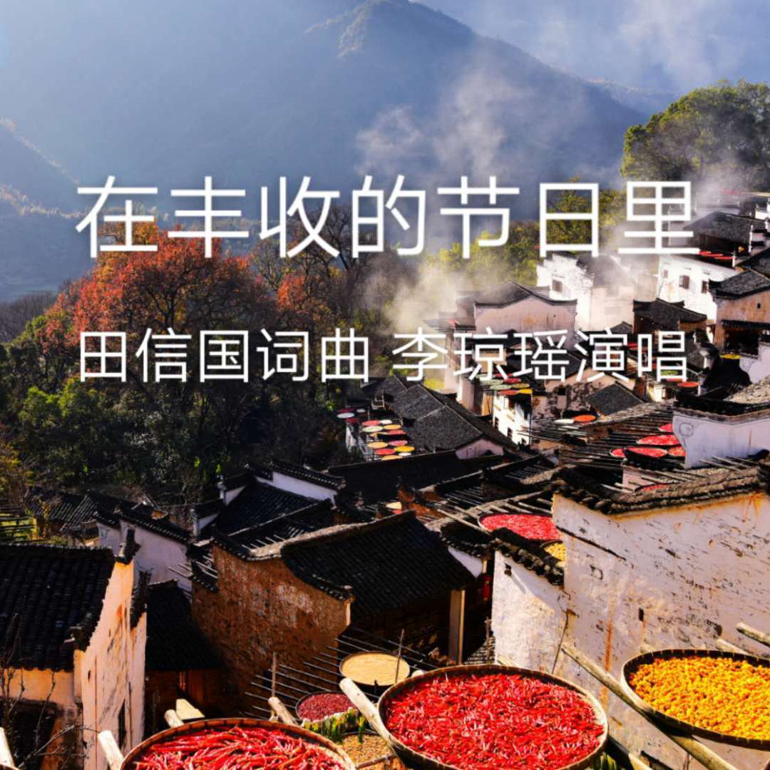 在丰收的节日里