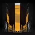 庸俗秃鹰 Vulgar Vultures