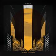 庸俗秃鹰 Vulgar Vultures