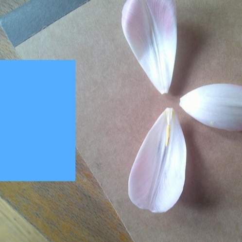 notice（feat.shayan&imnotvrycreative&endri&westwood）