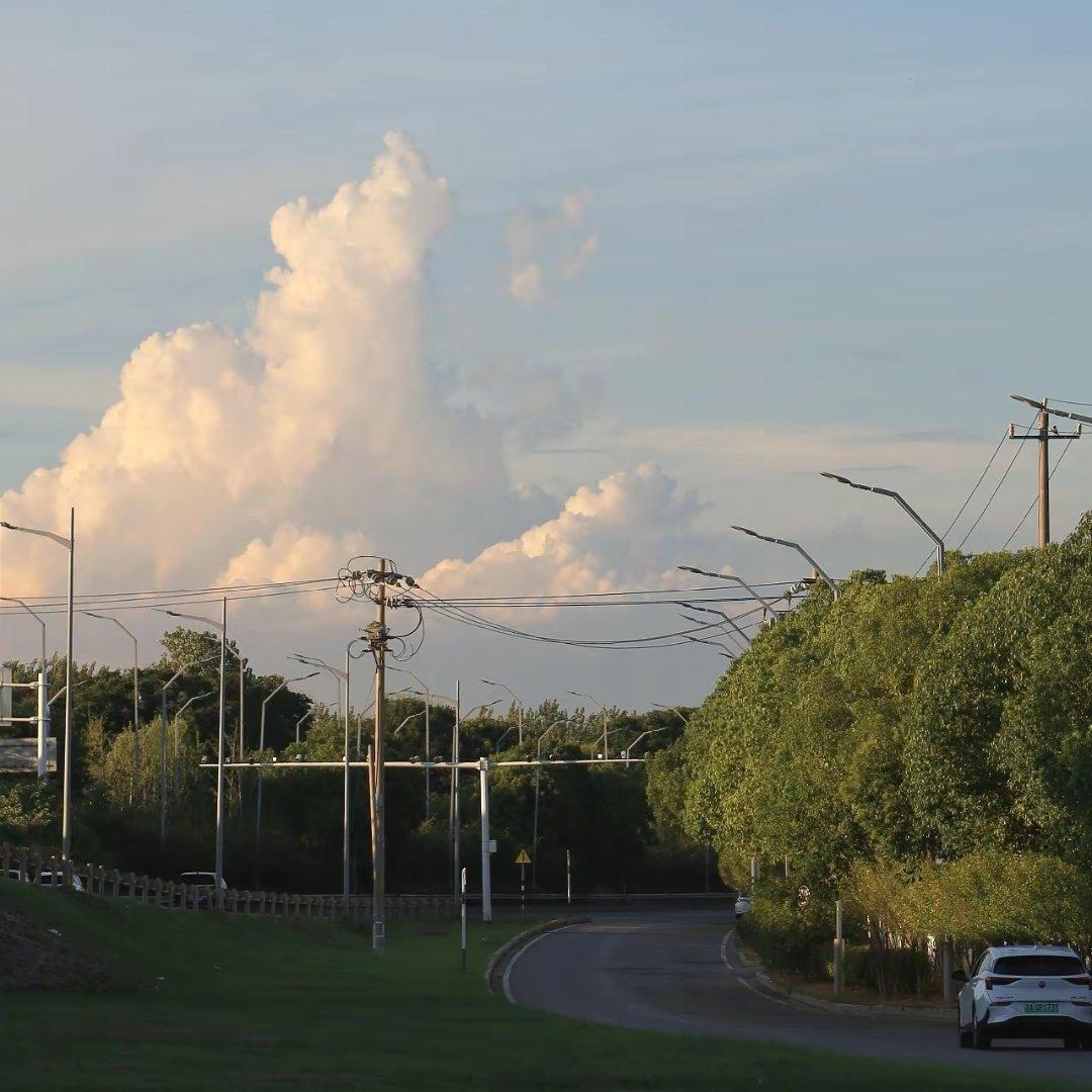 Lullaby（夏日蝉鸣）