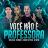 Mc Metal - Você Não É Professora (feat. MC Roger) (Remix Brega Funk)