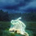 我要响彻天地的自由