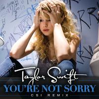 You're Not Sorry - Taylor Swift (吉他伴奏)