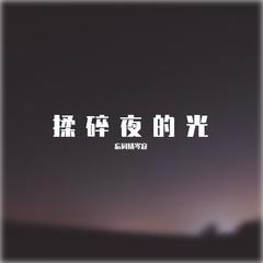 揉碎夜的光