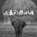 大象幻想水母