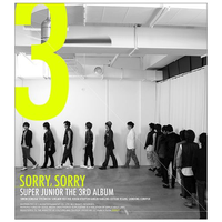 SJ - SORRY, SORRY （Answer） （官方原版无人声伴奏）