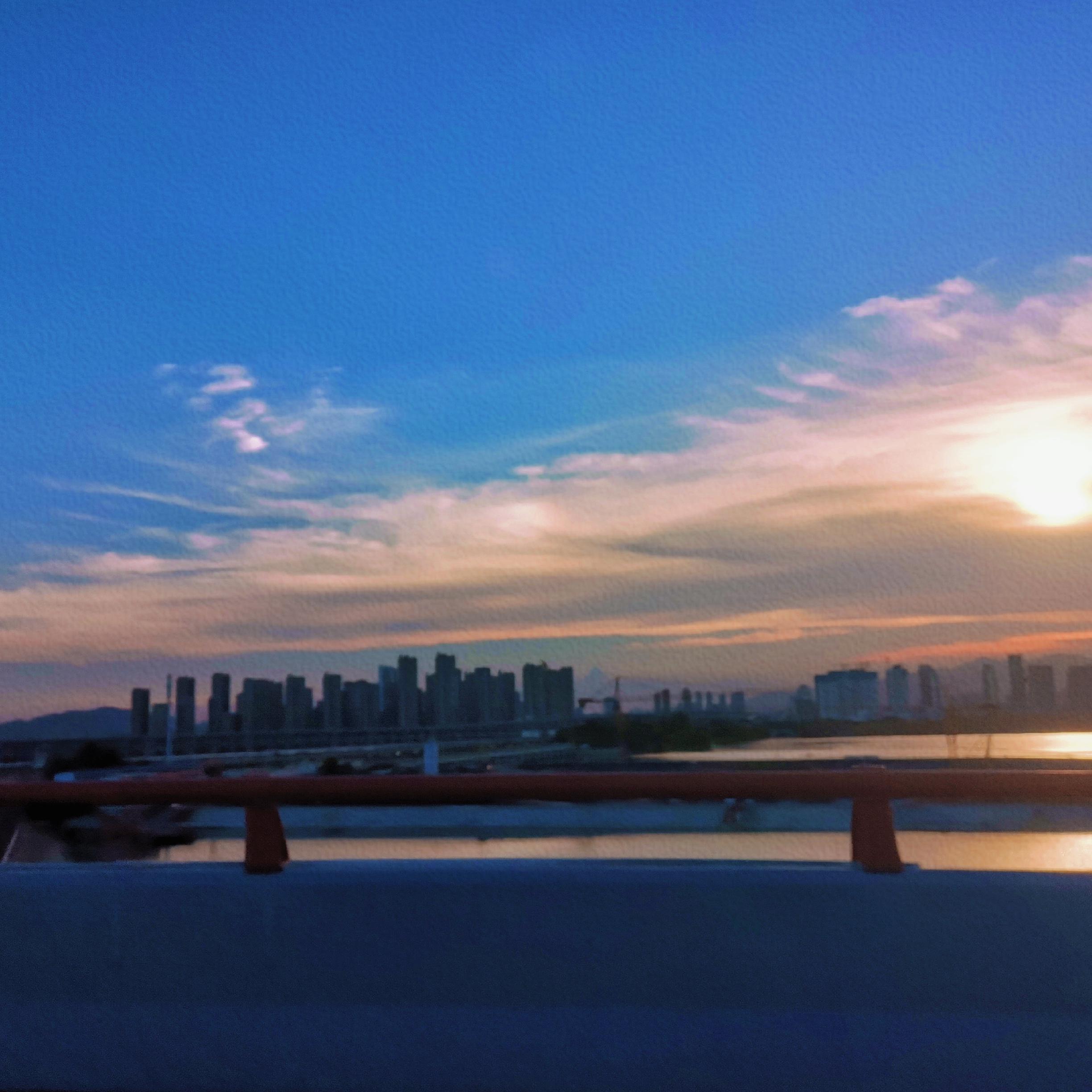 Various Artists-This Is What You Came For（Lauren Chen remix）