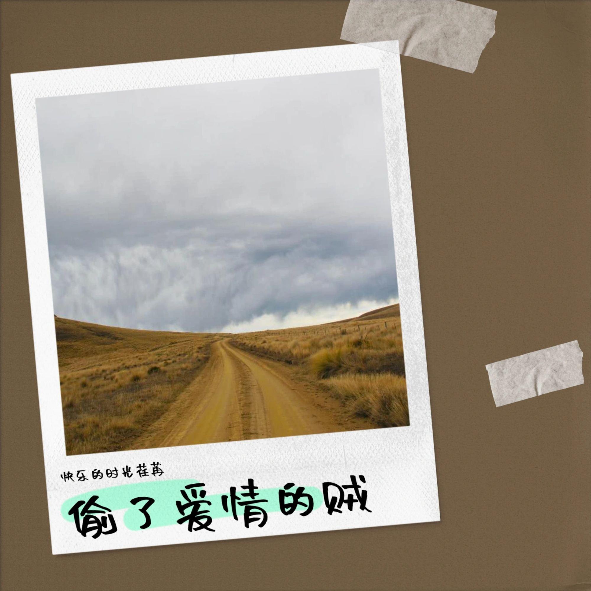 偷了爱情的贼