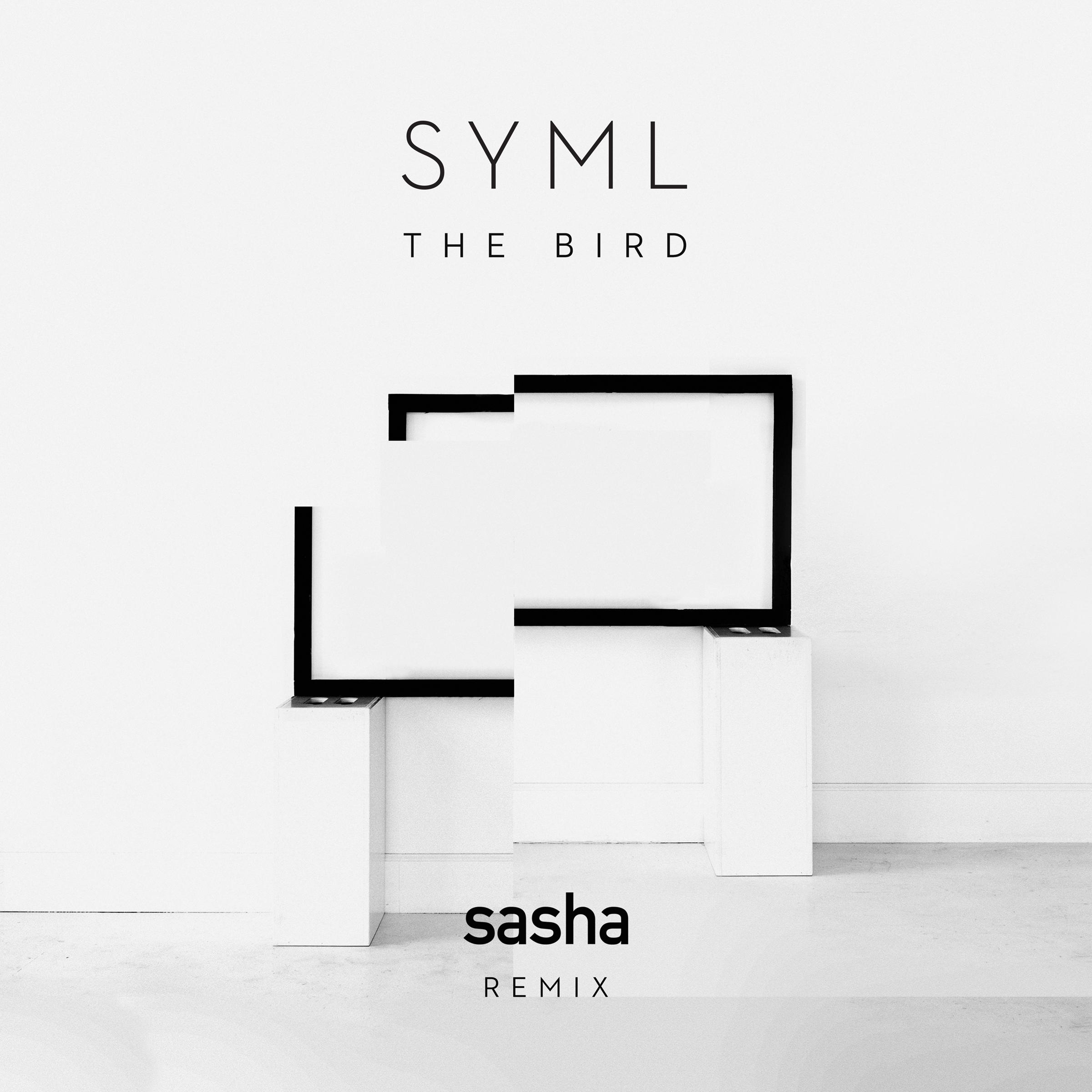 The Bird (Sasha Remix) [Edit]专辑