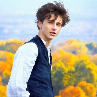 寂静与光芒：配乐诗人德斯普拉特