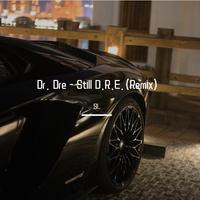 Dr. Dre - Still D.R.E. (Dj Parle Vip Quickhitter) (Dirty) 123