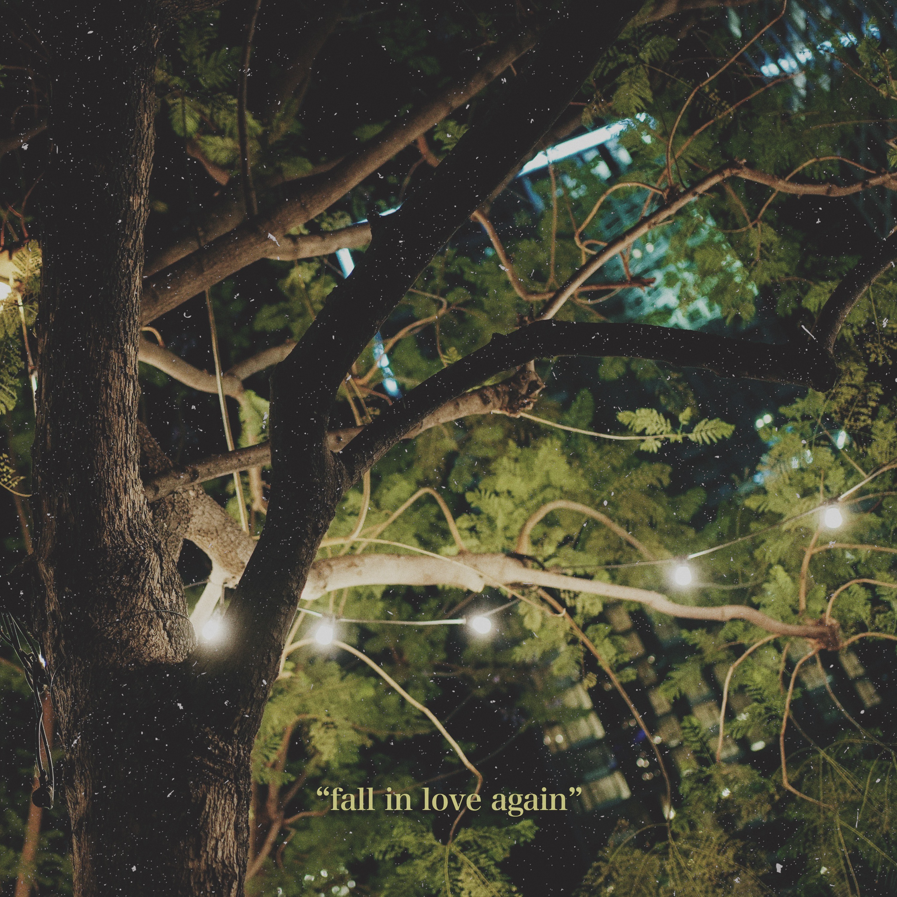 fall in love again专辑