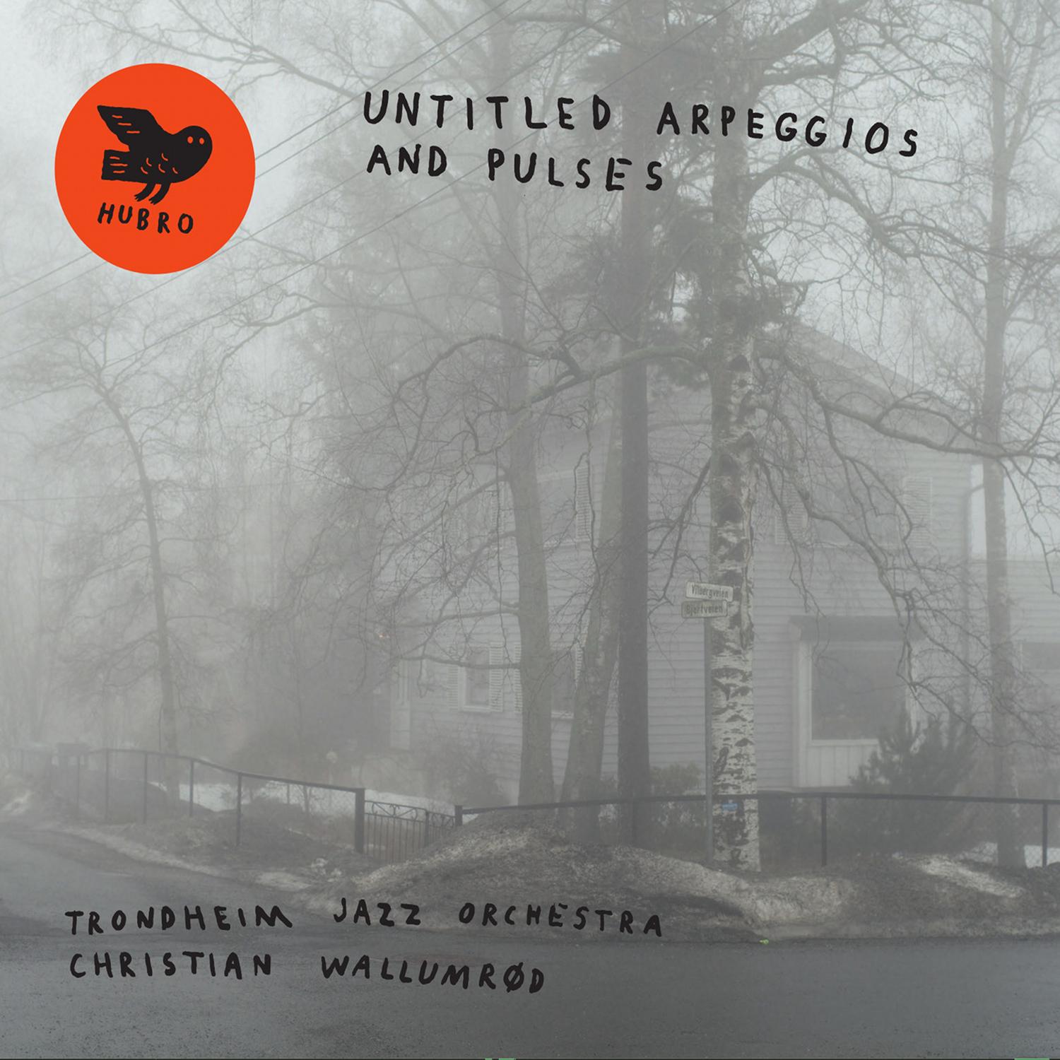 Untitled Arpeggios and Pulses