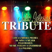 Julio Iglesias - To All The Girls I\'ve Loved Before (karaoke)