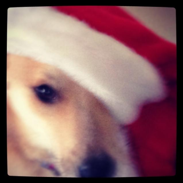 Boom Forest invites you to A Very Cookie Christmas Vol. 1
