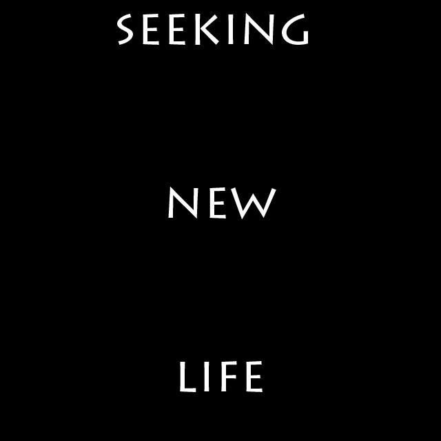 seeking new life专辑