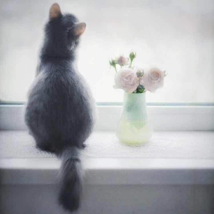 陈粒 - 奇妙能力歌(吉他指弹版)