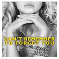 Can't Remember to Forget You - Single