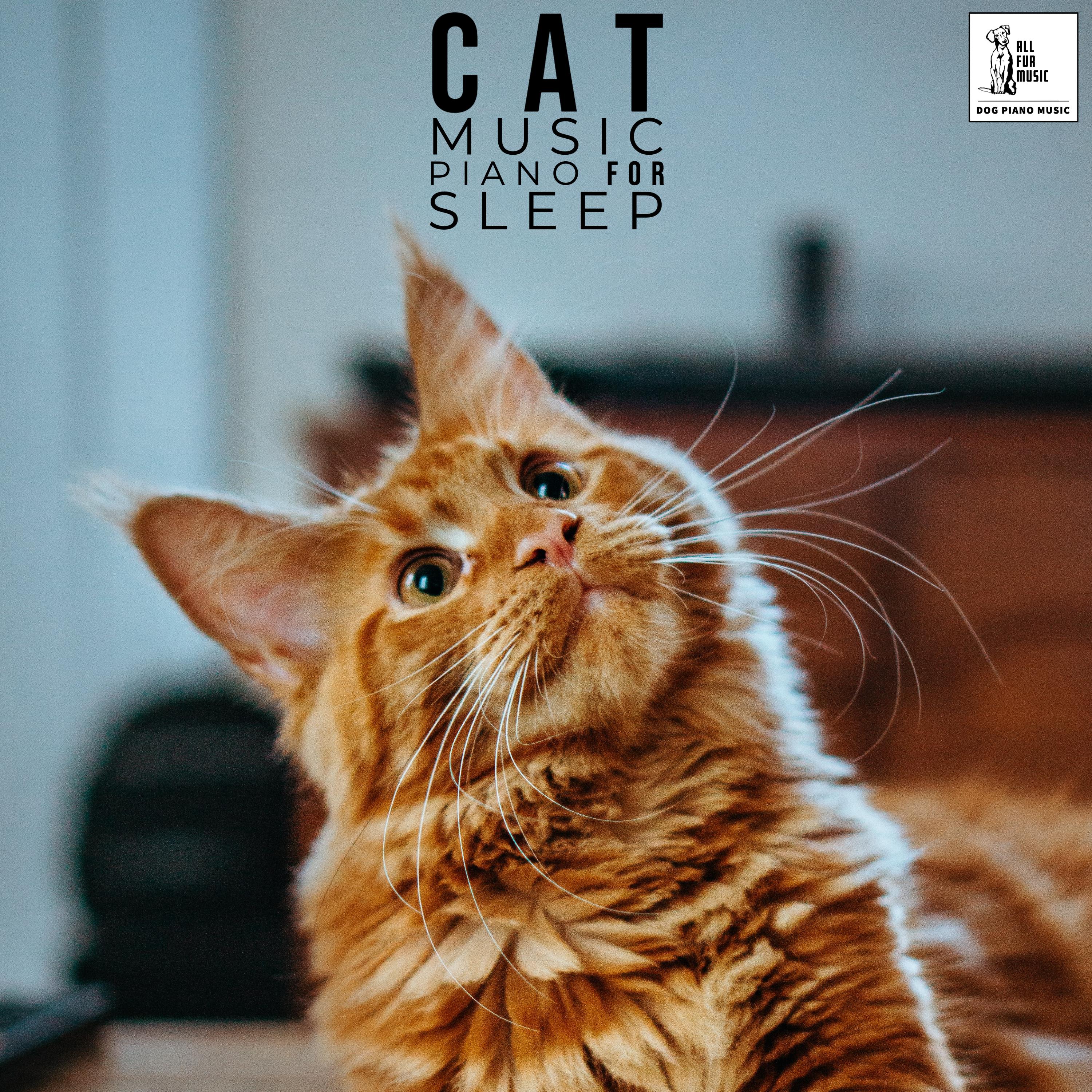 Cat Music Piano For Sleep