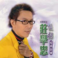 庄学忠 - 表错情(原版立体声伴奏)
