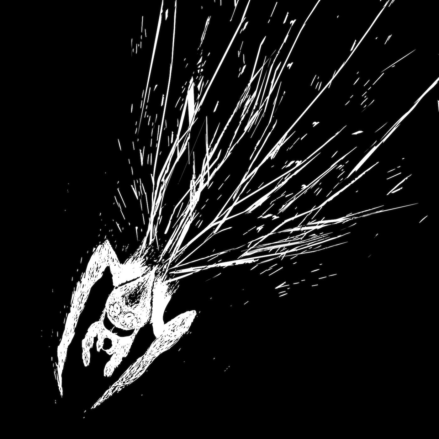 Split
