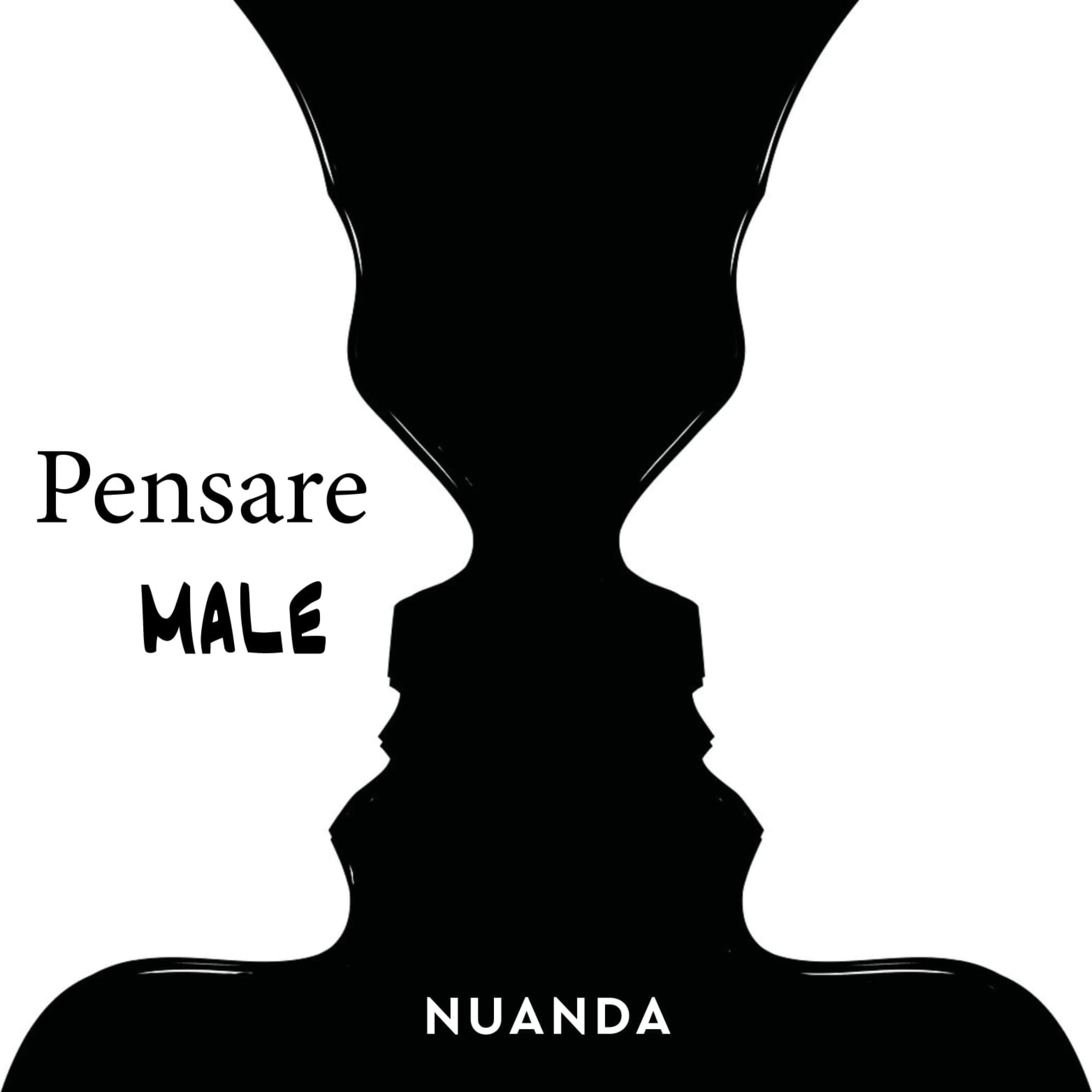 Pensare Male