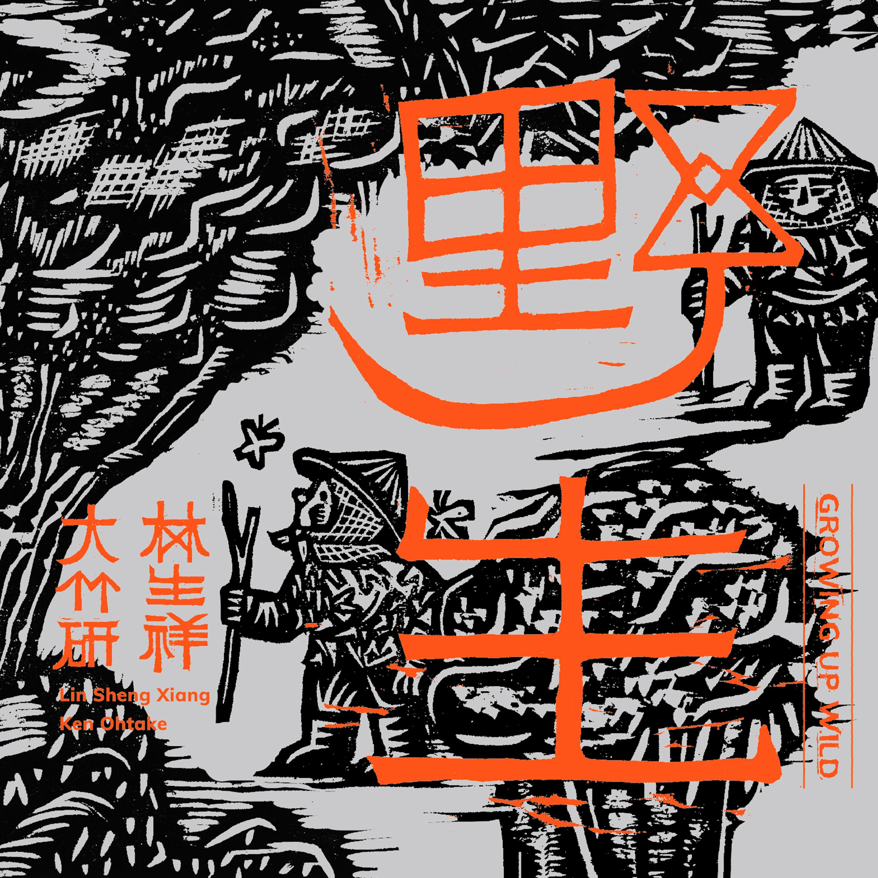 野生 (2025 重制版)
