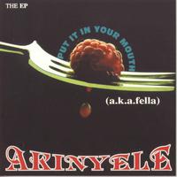 Akinyele - Put It In Your Mouth (instrumental)