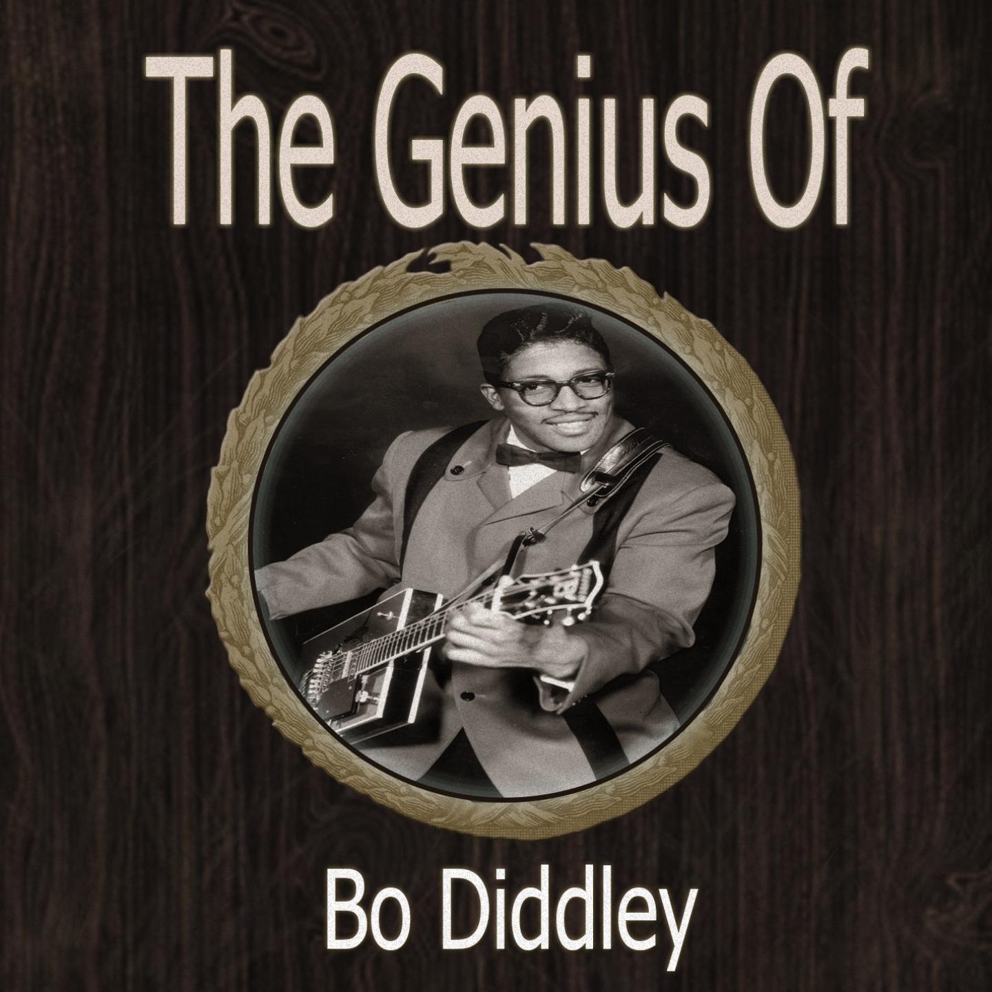 The Genius of Bo Diddley