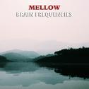 #11 Mellow Brain Frequencies专辑