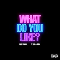 Bizzy Crook, Ty Dolla Sign - What Do You Like (Intro Edit) (Dirty) 100